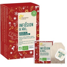 Fleurance Nature Organic Christmas Tea - Zestaw herbat 20 sztuk
