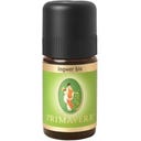 PRIMAVERA PRIMAVERA Bio olejek imbirowy, 5 ml — Inhaltsstoffe i ocena