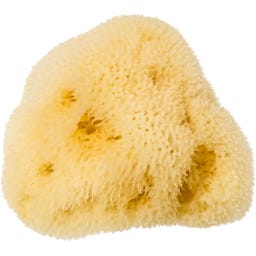 KOSTKAMM Levantiner Seidenschwamm - 1 Stk