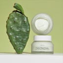 URANG Cactus Oasis Cream - 50 ml