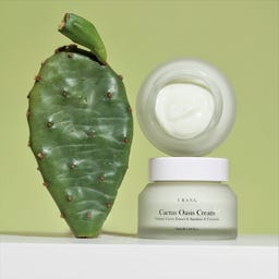 URANG Cactus Oasis Cream - 50 ml