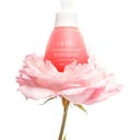 URANG Pink Everlasting Ampoule - 35 ml