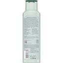 lavera Freshness & Balance pečující šampon - 250 ml