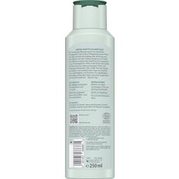 lavera Freshness & Balance pečující šampon - 250 ml