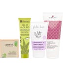 Ecco Verde Curly Girl Basis Set - 1 Set