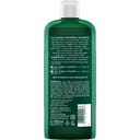 LOGONA Age Energy Shampoo - 500 ml