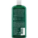 LOGONA Age Energy Shampoo - 250 ml