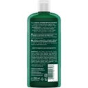 LOGONA Intense Repair Shampoo - 250 ml