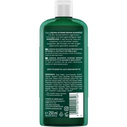 LOGONA Intense Repair Shampoo - 250 ml