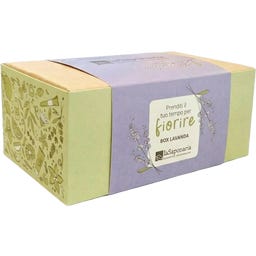 Geschenkset Lavendel - 1 Set