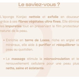 Éponge Konjac Visage Exfoliante & Purifiante 