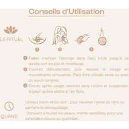 Éponge Konjac Visage Exfoliante & Purifiante 