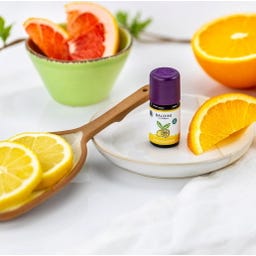 TAOASIS Baldini-hajuste Zitrusgarten - 5 ml