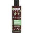 CENTIFOLIA Fuktighetsgivende sjampo - 200 ml