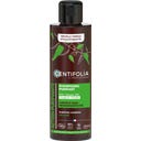 CENTIFOLIA Purifying Shampoo - 200 ml