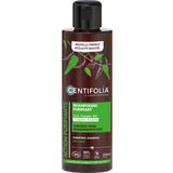 CENTIFOLIA Purifying Shampoo
