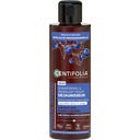 Shampoing & Démêlant Violet Déjaunisseur 2-en-1, 200 ml