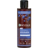 CENTIFOLIA 2in1 Purple Shampoo & Detangler