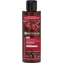 CENTIFOLIA 2in1 Colour Shampoo & Detangler - 200 ml