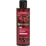 CENTIFOLIA 2in1 Colour Shampoo & Detangler