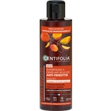 CENTIFOLIA 2in1 Curls Shampoo & Detangler