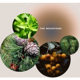 Dusjgel 'Beroligende Fjelltopp' - The Mountains - 200 ml