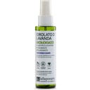 Bio-Lavendel-Hydrolat - 100 ml