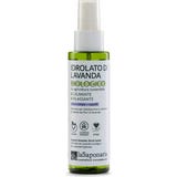 Biologische Lavendel Hydrosol