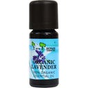 Organic Lavender Oil, 10 ml
