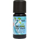 Organic Tea Tree Essential Oil, 10 ml
