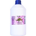 Biopark Cosmetics Hydrolat d'Eucalyptus Bio - 1 L