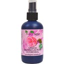 Organic Damascus Rose Hydrosol, 100 ml