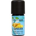 Ginger Essential Oil, 5 ml
