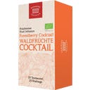Demmers Teehaus Quick-T Organic Forest Fruit Cocktail - 25 tea bags
