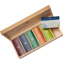 Demmers Teehaus BIO Quick-T Box Big - 1 pz.