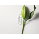 Dr. Hauschka Renew & Activate Ampoules - 56 ml