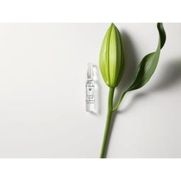 Dr. Hauschka Renew & Activate Ampoules - 56 ml