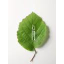 Dr. Hauschka Calm & Balance Ampoules