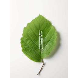 Dr. Hauschka Calm & Balance Ampoules