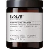 Evolve Organic Beauty Superfood Shine Hair Mask