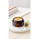 Evolve Organic Beauty Lip Treat - 15 ml