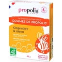 Propolia Organic Propolis Gums - Ginger & Lemon