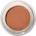 Fruit Pigments Long Last Concealer + Super Fruits - 5 g