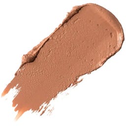 Fruit Pigments Long Last Concealer + Super Fruits - 5 g