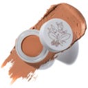 Fruit Pigments Long Last Concealer + Super Fruits - 5 g