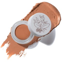 Fruit Pigments Long Last Concealer + Super Fruits - 5 g