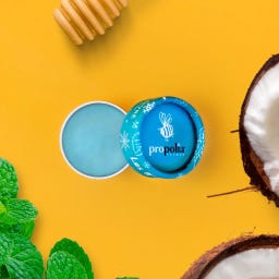 Propolia Lip Balm - Mint