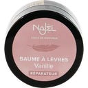 Najel Baume à Lèvres au Karité - Vanille