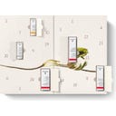 Dr. Hauschka Adventskalender - 1 Set