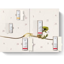 Dr. Hauschka Adventskalender - 1 Set